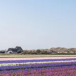 Nyaraló Achterduin In Groote Keeten