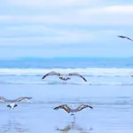 Achterduin In Groote Keeten *