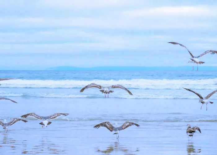 Achterduin In Groote Keeten *