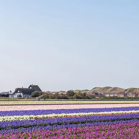 Semesterbostad Vacation Achterduin In Groote Keeten With Large Garden